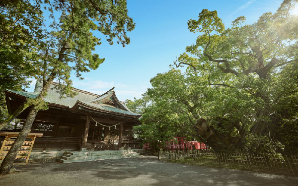 浜松八幡宮