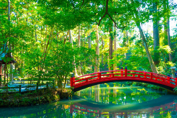 小國神社 01